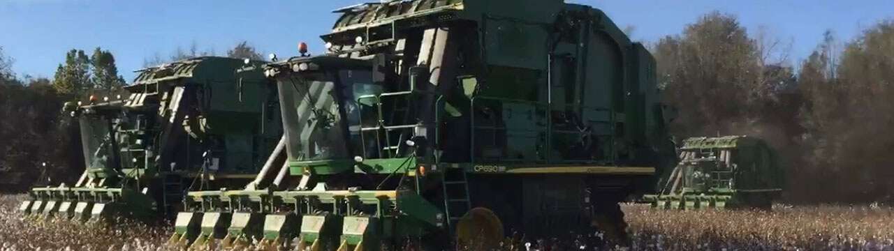 Mid Delta Auctions
